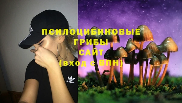 хмурый Богородск